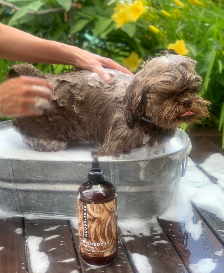 Коричневий собака стоїть у залізному тазику, повному піни від змиття шампуню