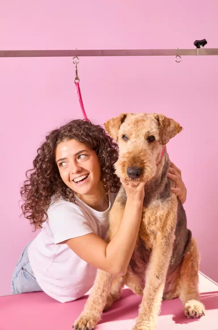 Дівчина з кучерями обіймає на рожевому грумерському столі дорослого лейкленд-тер'єра