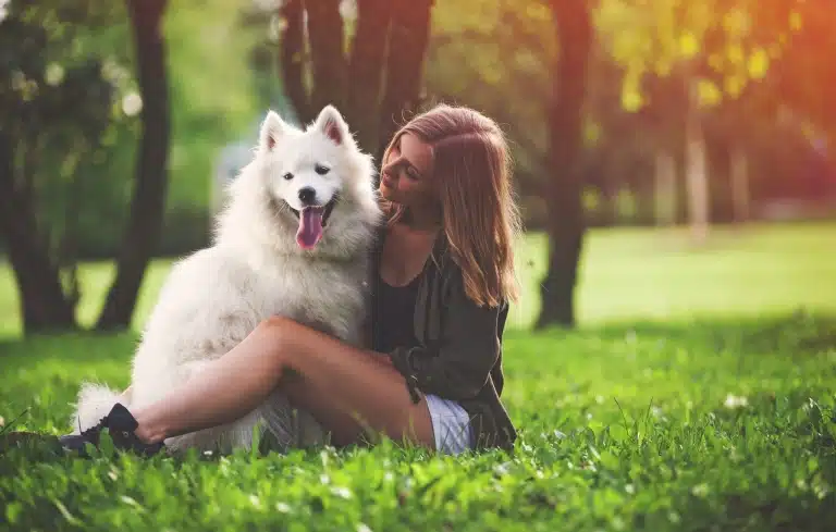 Самоїд сидить поруч з дівчиною у шортах серед зелені парка