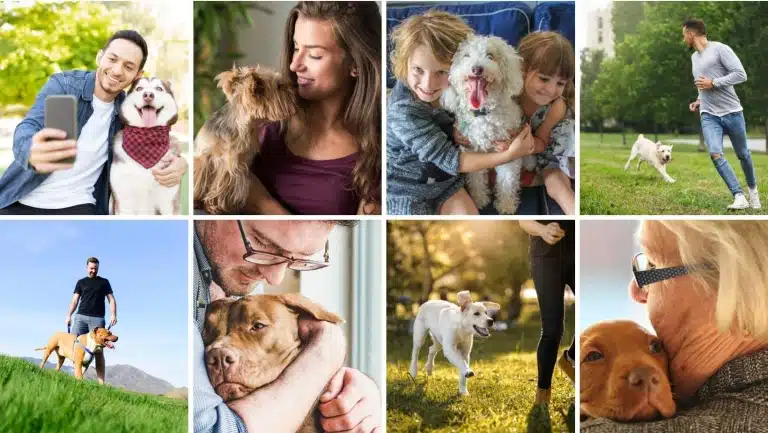 Колаж з восьми фото, на яких зображено власників з їх улюбленцями