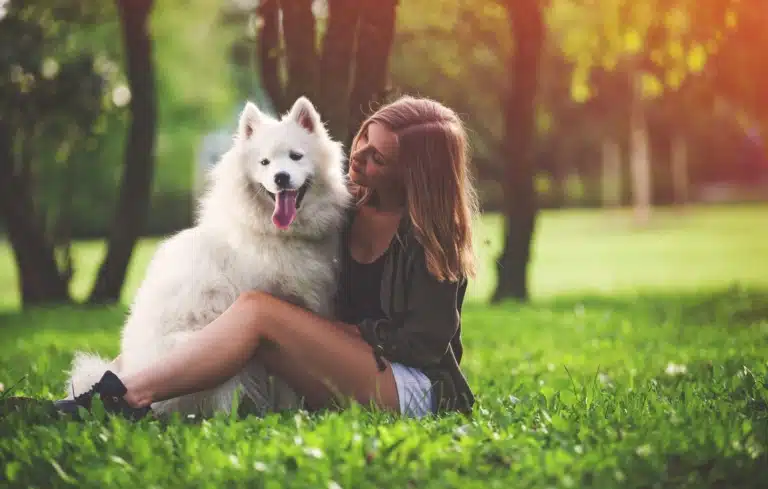 Дівчина у білих шортах сидить на траві та вдивляється в білого самоїда, що сів поруч