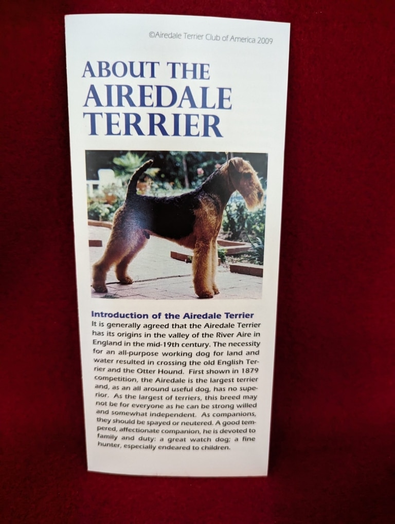 Буклет про ердельтер’єрів з зображенням породи