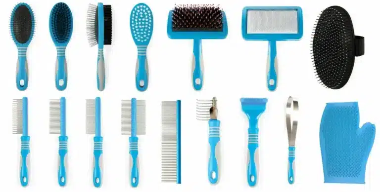 Різноманітні гребінці та щітки з синіми ручками