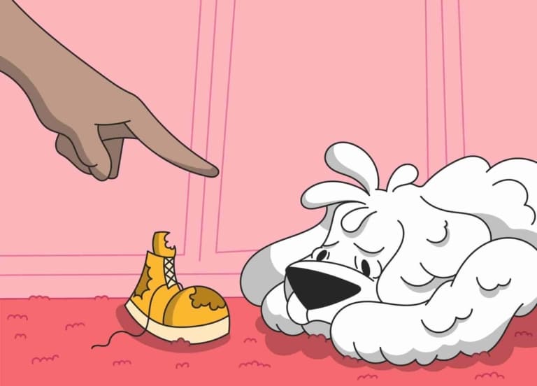 Людський палець вказує на білого пса, що лежить поруч зі знищеним черевиком