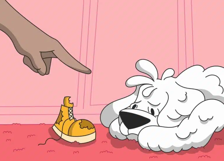 Людський палець вказує на білого пса, що лежить поруч зі знищеним черевиком