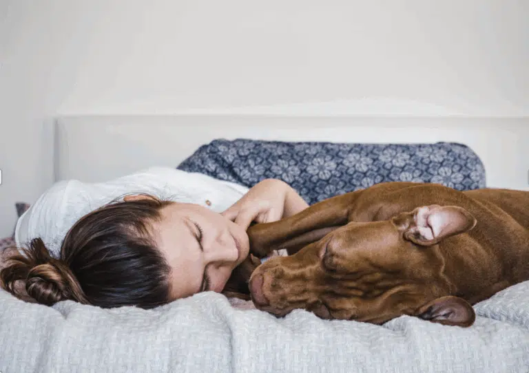 Дівчина у білій кофтинці лежить обличчям до коричневого пса і спить