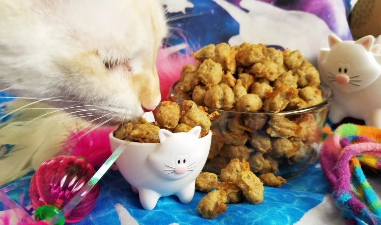 Кіт нюхає смаколики, що лежать у піалі у вигляді кота
