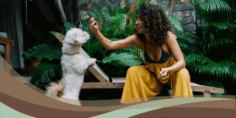 Дівчина в жовтому комбінезоні тримає над головою мальтезе дрібний смаколик