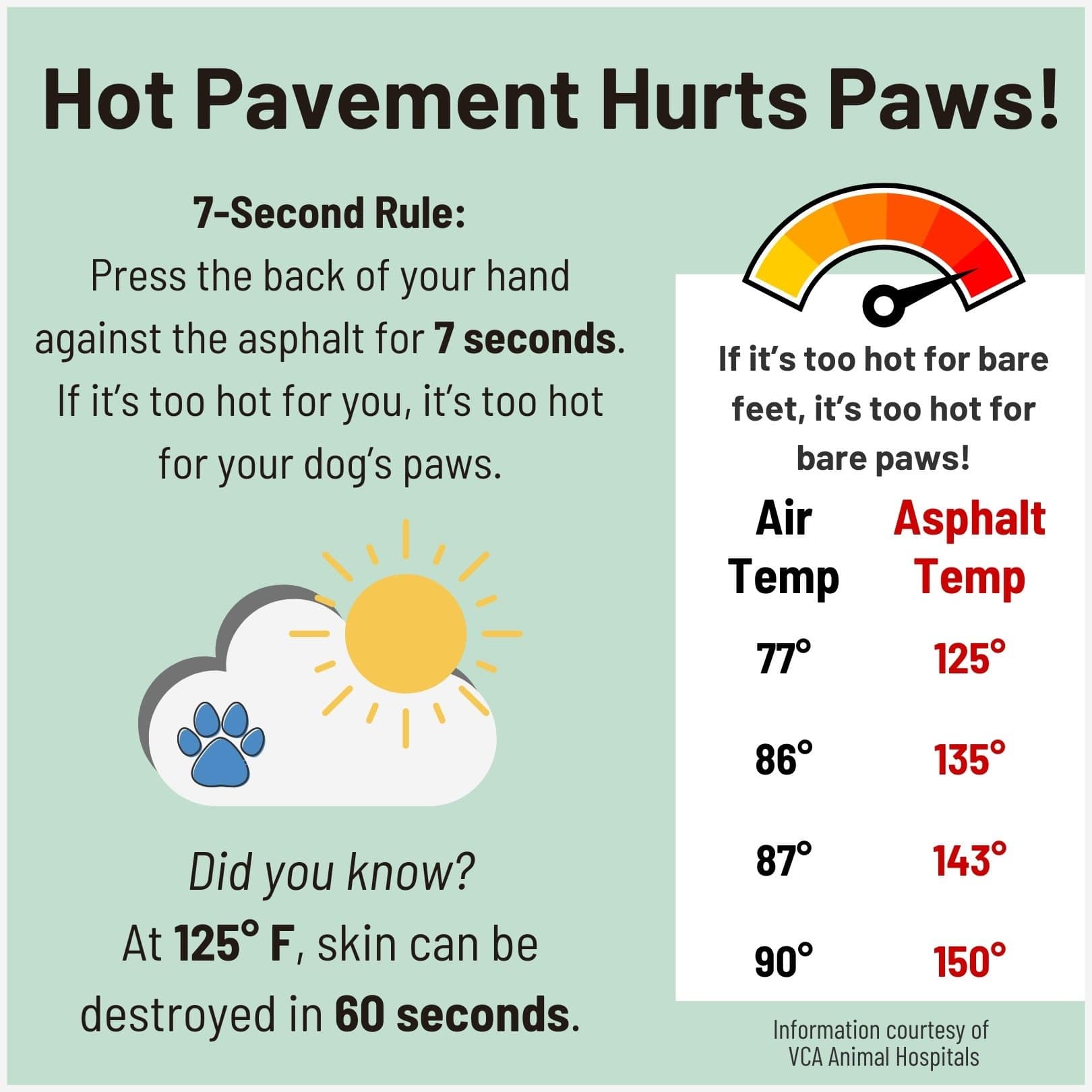 How do you protect your dog in hot weather? - V.O.G DOG