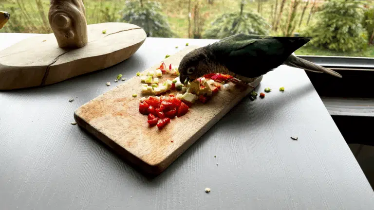 Папуга їсть з дерев'яної дошки нарізані овочі та фрукти