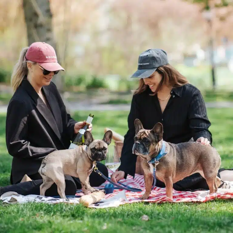 Дві жінки в кепках спілкуються на пікніку в компанії своїх бульдогів
