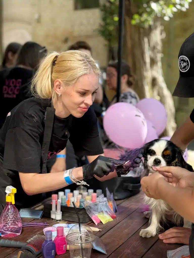 Блондинка в чорній формі фарбує крейдою в фіолетовий колір вушка спанієля