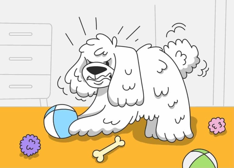 Білий пес роздратовано тягне лапу до блакитного м'яча