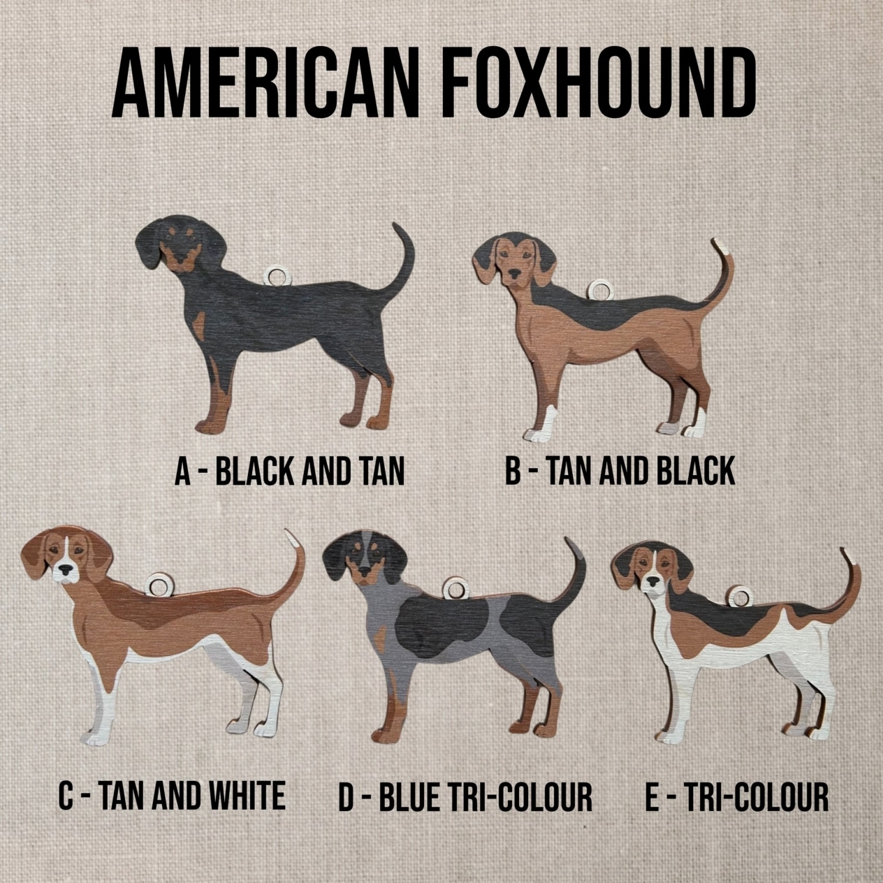 Зображення основних п'яти забарвлень шерсть американських фоксхаундів