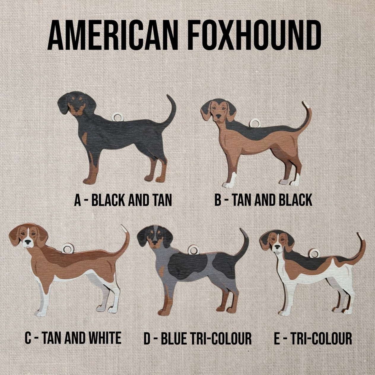 Зображення основних п'яти забарвлень шерсть американських фоксхаундів