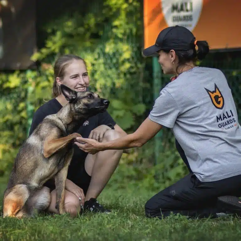 Кінолог демонструє виконання малінуа команди перед господаркою