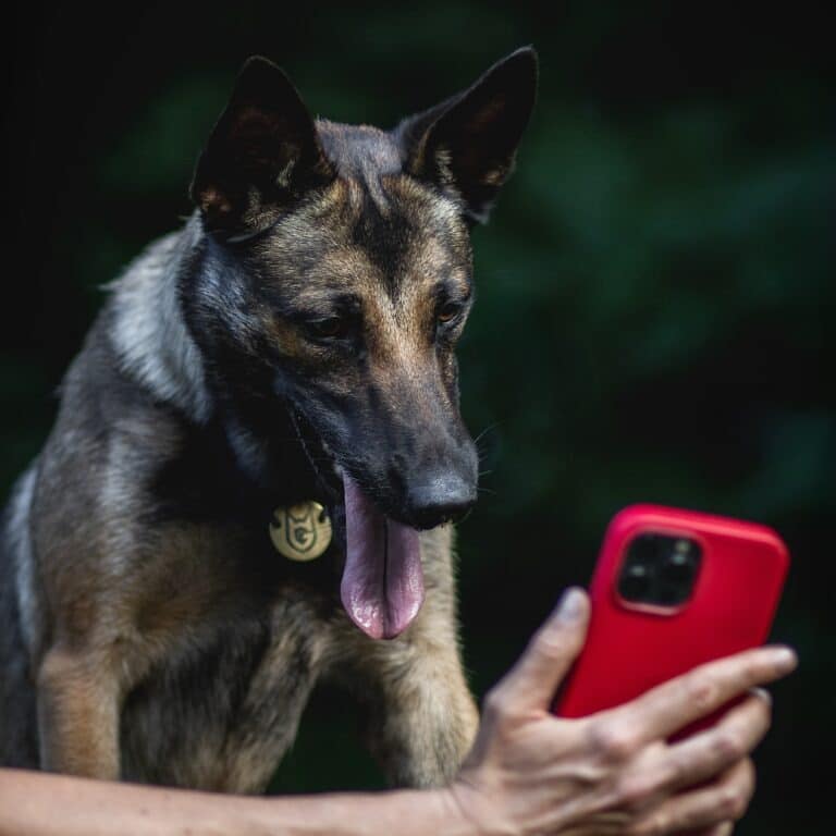 Людина демонструє малінуа щось на телефону в червоному чохлі