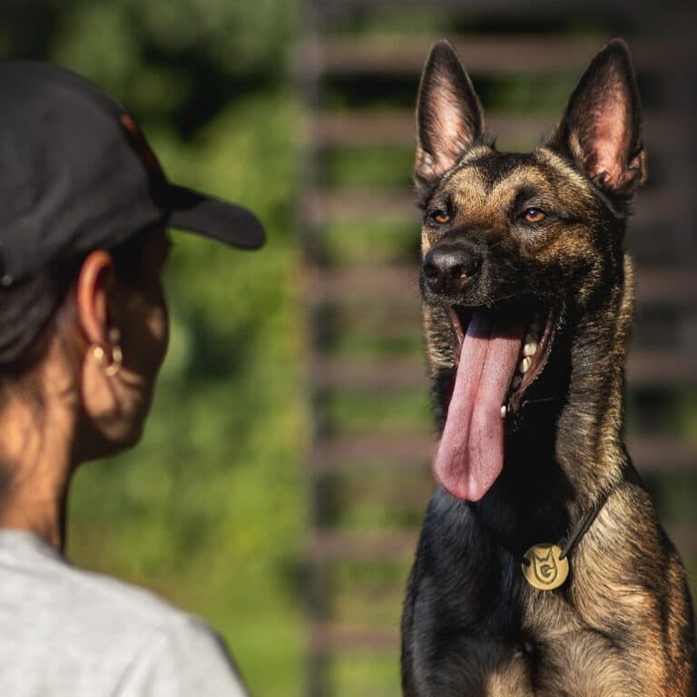 Малінуа демонструє дівчині довгий сіро-рожевий язик
