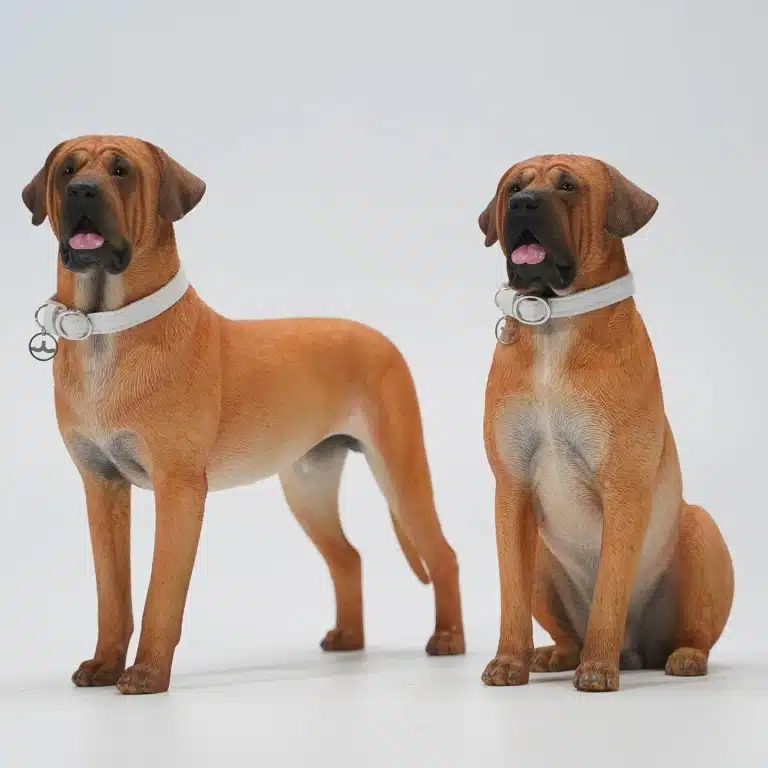 Двоє тоса-іну в білих нашийниках дивляться в один бік