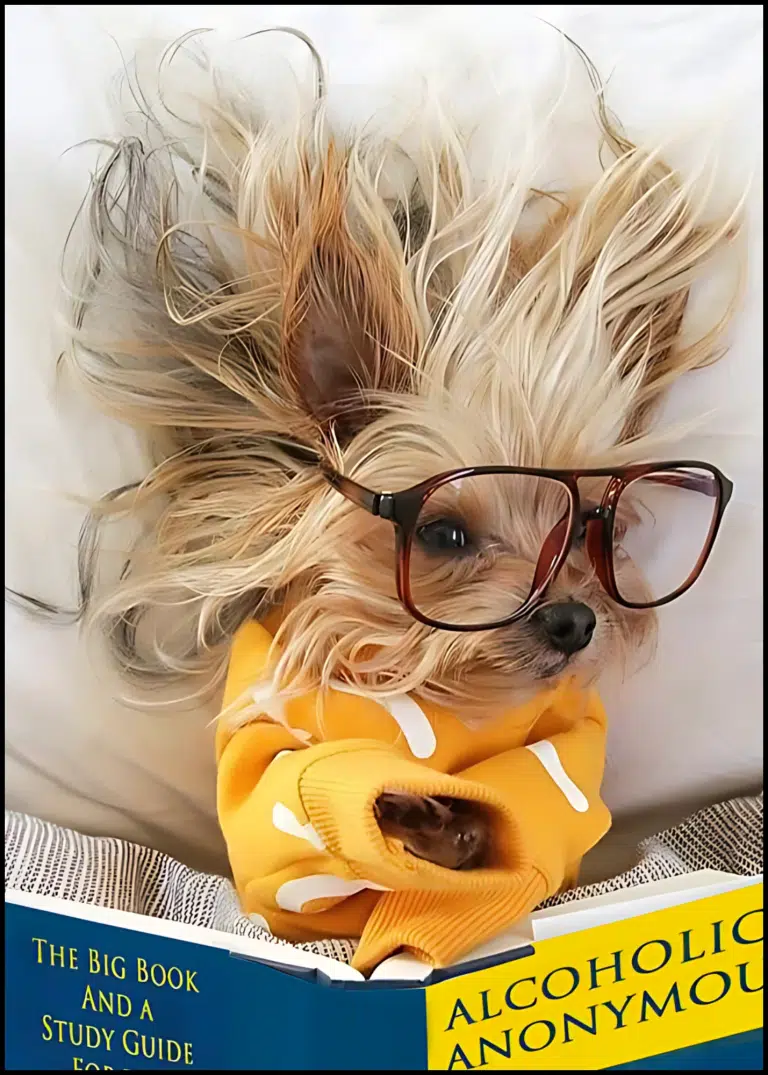 Йорк з довгою шерстю вдягнений у жовтий светр та читає жовто-блакитну книжку